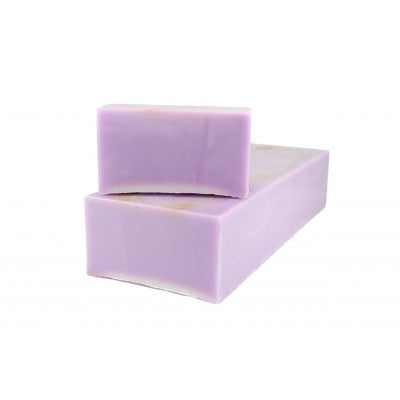 Lavender & Jojoba | Shampoo (BN: LJSH++)